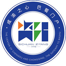 资阳队